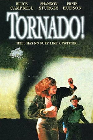 Tornado! poszter