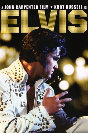 Elvis poszter