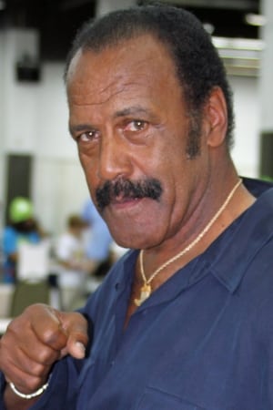 Fred Williamson profil kép