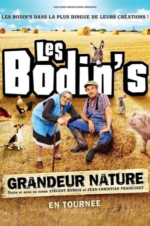 Les Bodin's : Grandeur Nature (@Zenith de Limoges) poszter