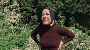 Grey Gardens háttérkép