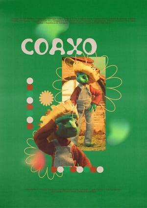 Coaxo poszter