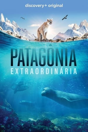 Patagónia vadregényes világa poszter