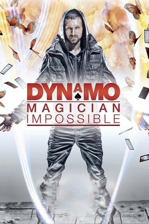 Dynamo - Varázslat a világ körül
