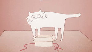 Why Do Cats Act So Weird? háttérkép