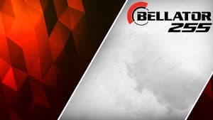 Bellator 255: Pitbull vs. Sanchez 2 háttérkép