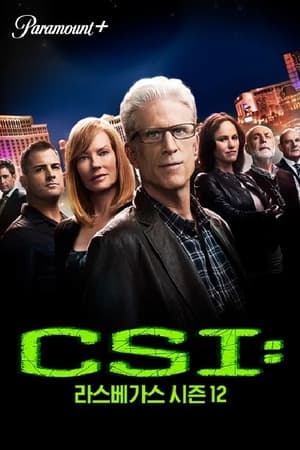 CSI: A helyszínelők poszter