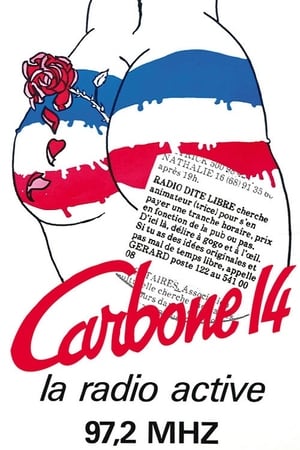 Carbone 14, le film poszter