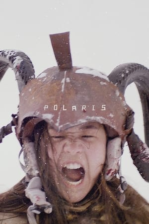 Polaris poszter