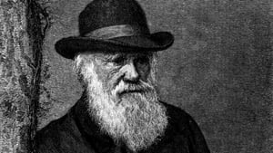 The Genius of Charles Darwin kép