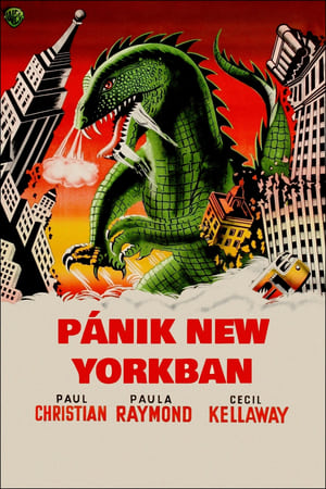 Pánik New Yorkban