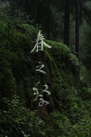 Le Sacre Du Printemps (Tandvarkstallen) poszter