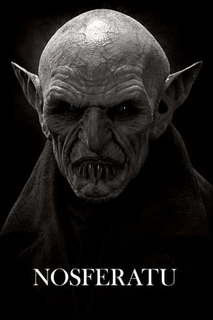 Nosferatu poszter