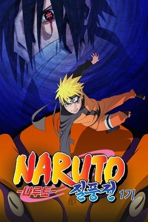 Naruto Shippuden poszter