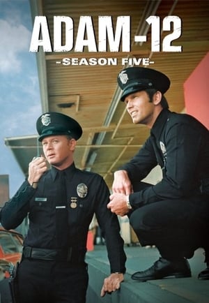 Adam-12