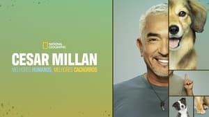 Cesar Millan: Jó gazdi, jó kutya kép