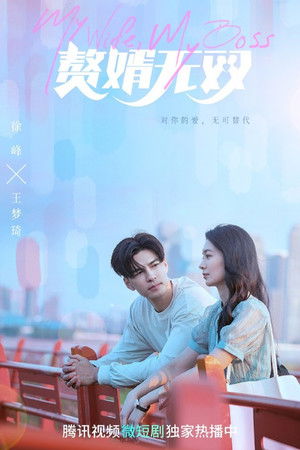 赘婿无双