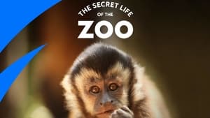 The Secret Life of the Zoo kép