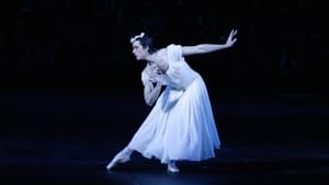 Bolshoi Ballet: The Bright Stream háttérkép