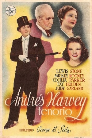 Andy Hardy Meets Debutante poszter