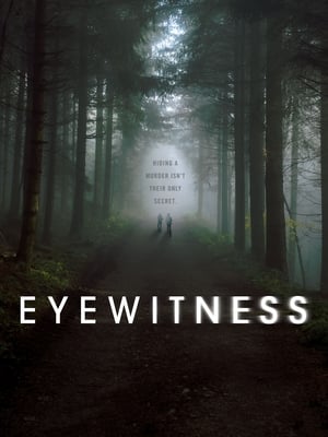 Eyewitness poszter