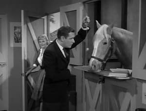 Mister Ed 1. évad Ep.16 16. epizód