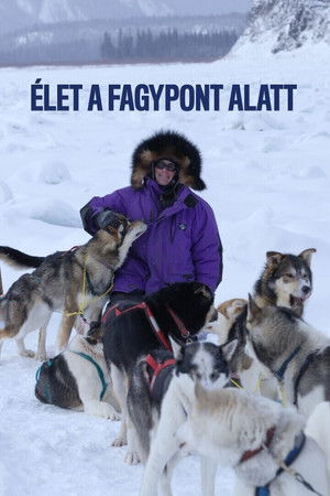 Élet a fagypont alatt poszter