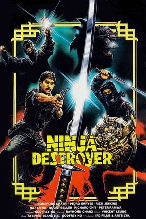 Ninja Destroyer poszter