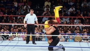 WWE Survivor Series 1991 háttérkép