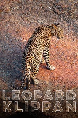 The Leopard Rocks poszter