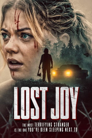 Lost Joy poszter