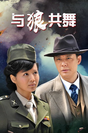 与狼共舞 poszter