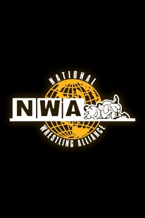 The Second Annual NWA Jim Crockett Sr. Memorial Cup Tag Team Tournament