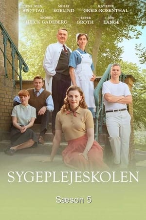 Sygeplejeskolen