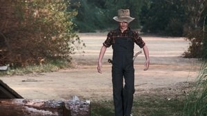 The Waltons Season 3 Ep.24 24. epizód