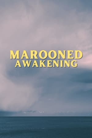 Marooned Awakening poszter