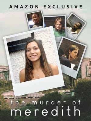 The Murder Of Meredith poszter