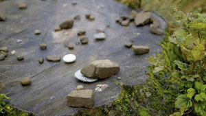 The Sycamore Gap Mystery 1. évad Ep.2 2. epizód