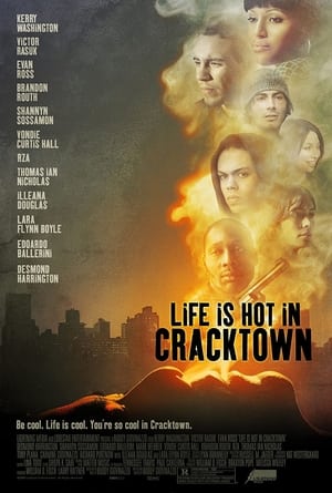 Life Is Hot in Cracktown poszter