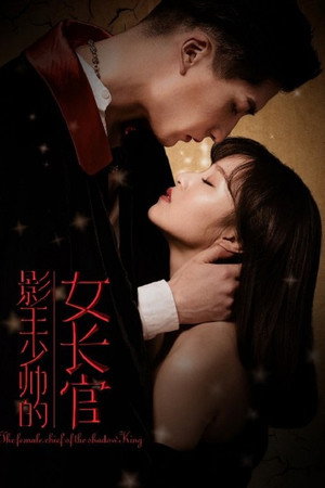 影王少帅的女长官 poszter