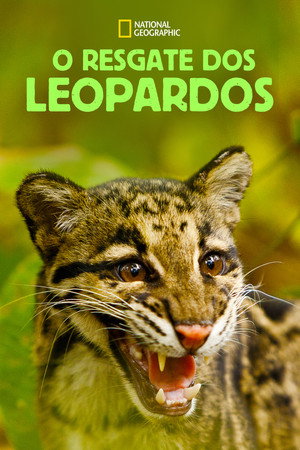 Return of the Clouded Leopards poszter