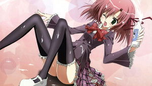 生徒会の一存 kép