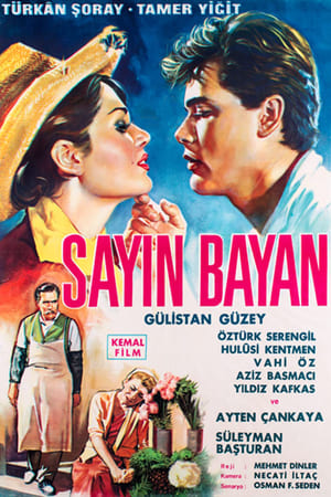 Sayın Bayan poszter