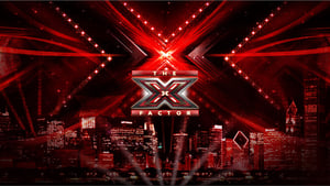 X Factor kép