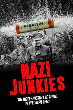 Les junkies d'Adolf Hitler poszter