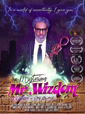 The Mysterious Mr. Wizdom poszter