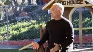 Cesar Millan: Jó gazdi, jó kutya 1. évad Ep.4 4. epizód