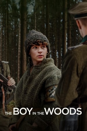 The Boy in the Woods poszter