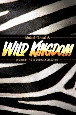 Mutual of Omaha's Wild Kingdom poszter