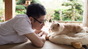 ねこあつめの家 háttérkép